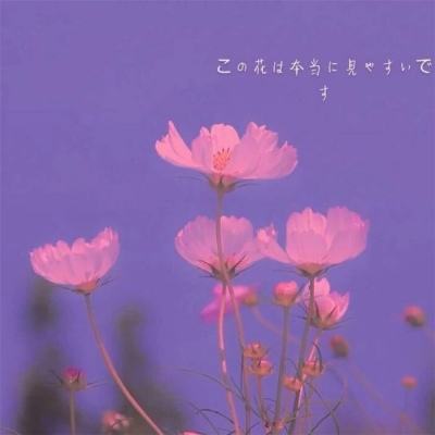 杏彩体育官方安卓版